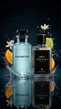 LV Imagination